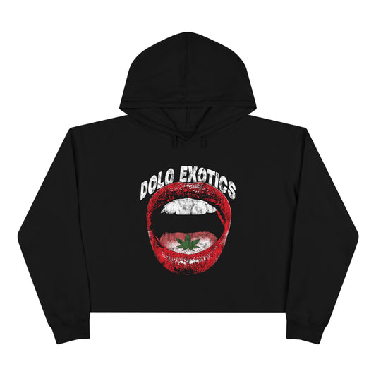 Tasty - Women's Cropped Hoodie